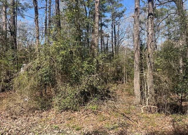 Property at 3-229 Meridian, Livingston, TX 77351