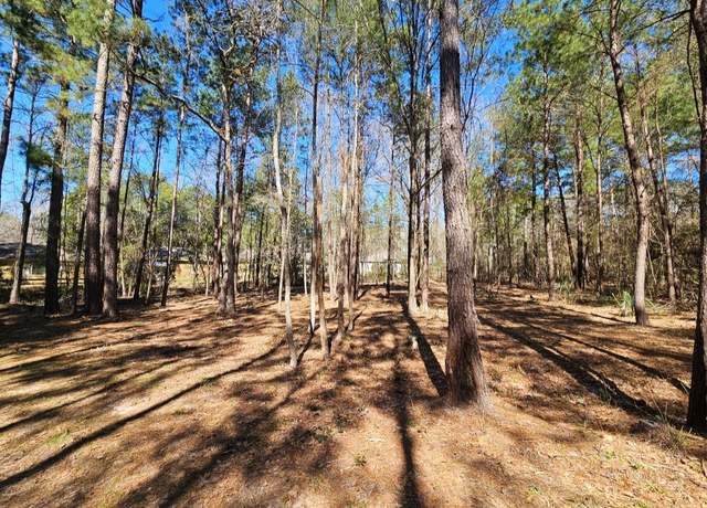 Property at 0 Reedwood, Montgomery, TX 77356