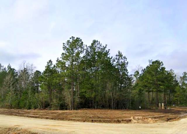 Property at 108 Summit Dr, New Waverly, TX 77358