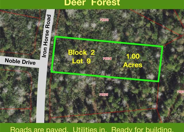 Property at 242 Iron Horse Rd, New Waverly, TX 77358