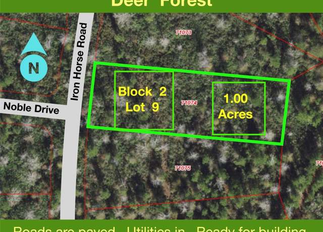 Property at 242 Iron Horse Rd, New Waverly, TX 77358
