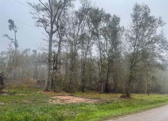 Property at 151 Thomas Windt Rd, Shepherd, TX 77371