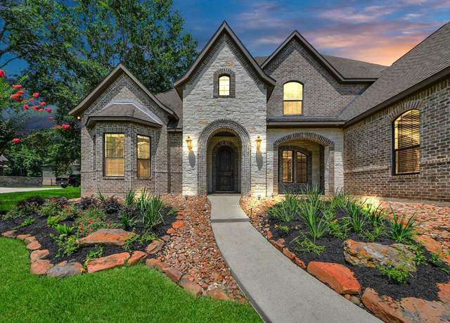 Property at 251 Lakeside Hills Dr, Montgomery, TX 77316, 4 beds, 4.5 baths