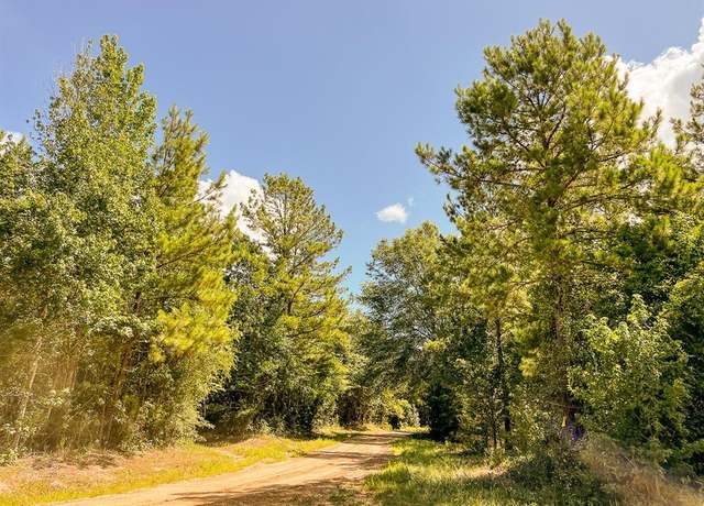 Property at 000 CR 367/cr 368, Zavalla, TX 75980