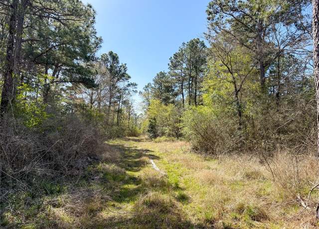 Property at 15.86 acres Round Prairie Rd, Huntsville, TX 77320