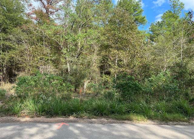 Property at 16 Acres Highway 356 at Camp Branch Rd, Trinity, TX 75862