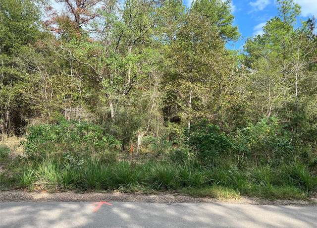 Property at 16 Acres Highway 356 At Camp Branch Rd, Trinity, TX 75862