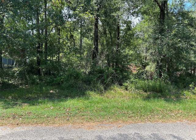 Property at TBD Belize Dr, Point Blank, TX 77364