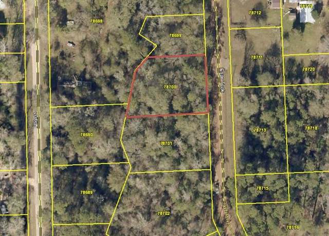 Property at 0 Friar Tuck St, Shepherd, TX 77371