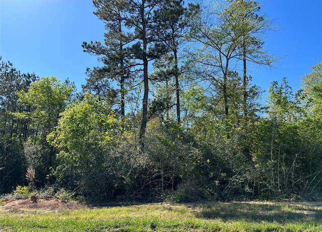 Property at 335 Exploration Rd, New Waverly, TX 77358