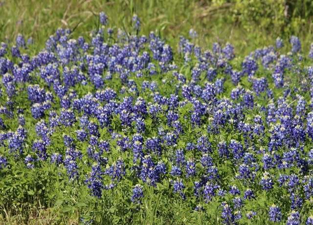 Property at 00 Chappell Reserve Dr, Chappell Hill, TX 77880