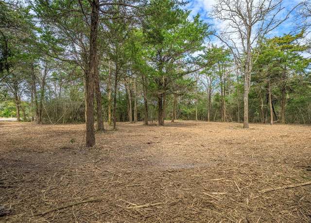 Property at TBD N Haupstrasse - Tract 2 St, Carmine, TX 78932