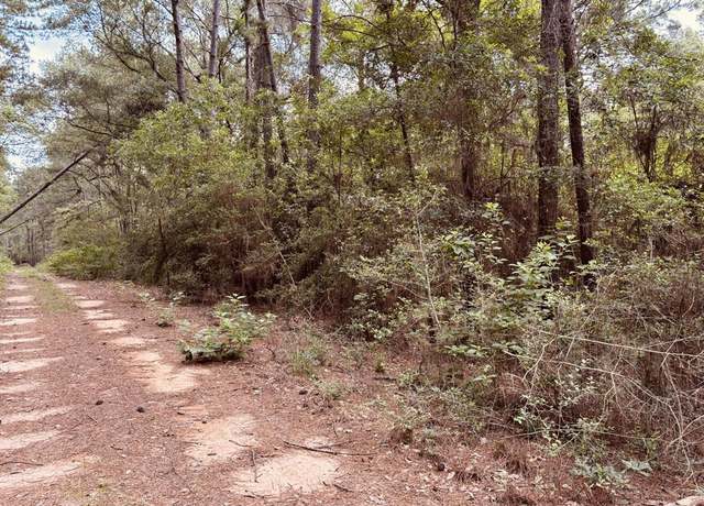 Property at 16646 E Sioux Dr, Hempstead, TX 77445