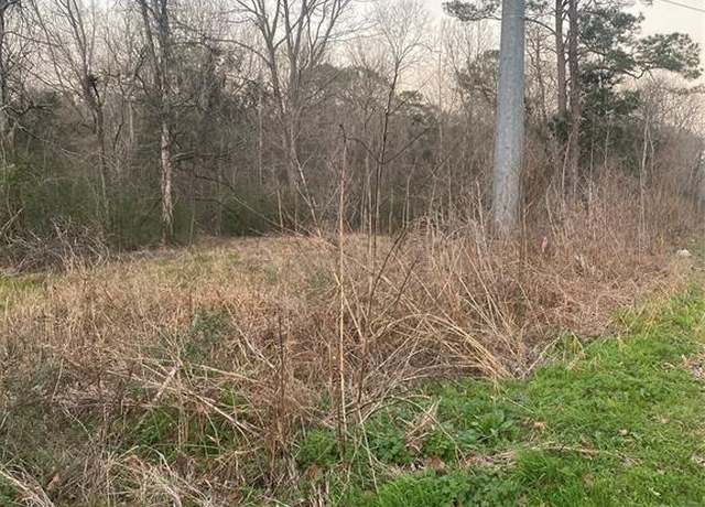 Property at 0 Maple St, Daisetta, TX 77533