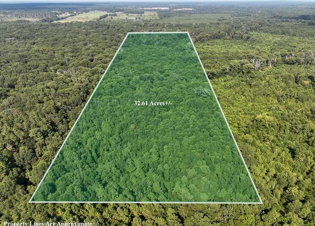 Property at 1799 Cr 3224, Center, TX 75929