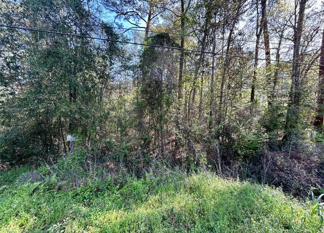 Property at LOT 77-A Royal Lake Dr, Conroe, TX 77303