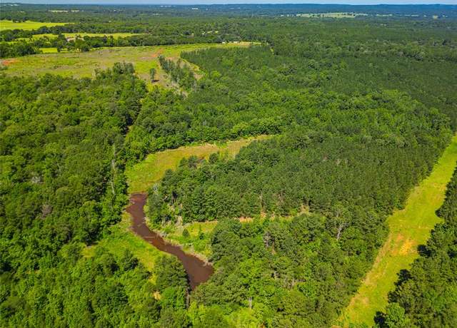 Property at TBD Fm-1137, Palestine, TX 75801