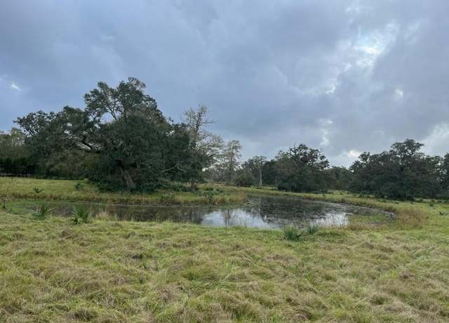 Property at 10200 County Road 505, Brazoria, TX 77422