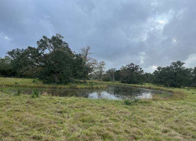 Property at 10200 County Road 505, Brazoria, TX 77422
