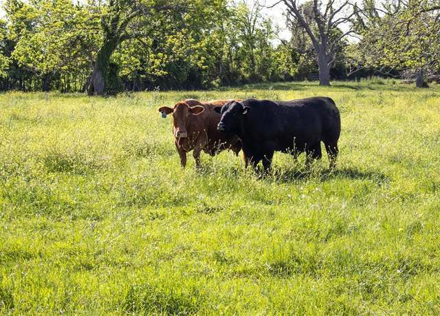 Property at 17240 Fm 1887 Rd, Hempstead, TX 77445