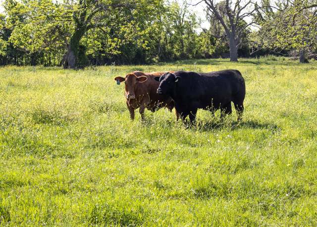 Property at 17240 Fm 1887 Rd, Hempstead, TX 77445