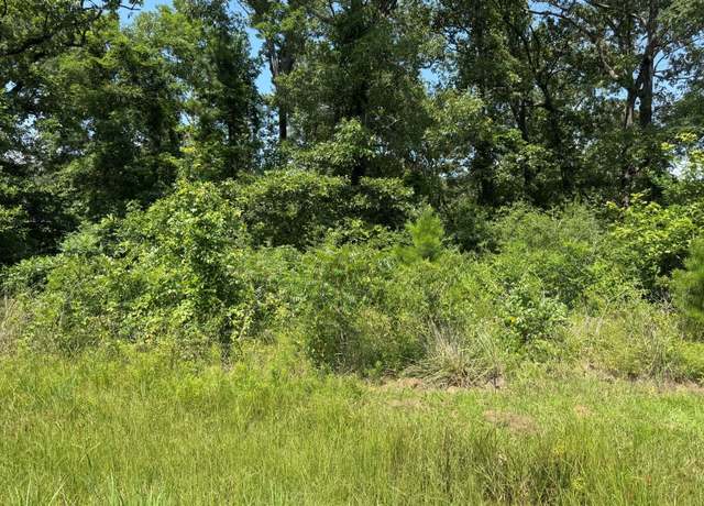 Property at 0 Willow Oak Ln, Point Blank, TX 77364