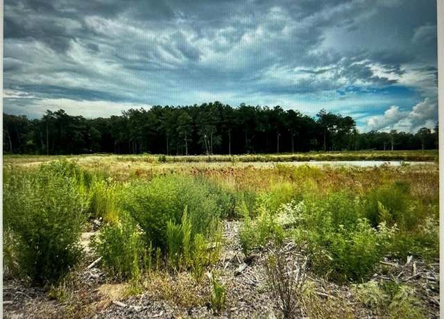 Property at TBD Lot 4 County Road 2184, Cleveland, TX 77327