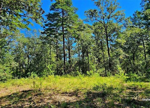 Property at TBD Zed Creek Rd, Lufkin, TX 75904