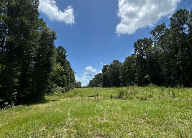 Property at 325 Natchez Rd, Livingston, TX 77351