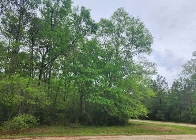 Property at TBD Cloverdale, Livingston, TX 77351