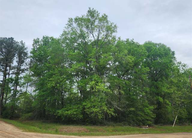 Property at TBD Cloverdale, Livingston, TX 77351