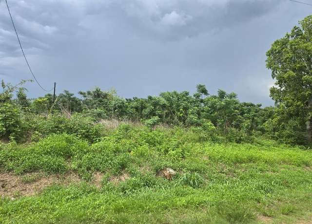 Property at 0017 Gordon Side Rd, Fulshear, TX 77441