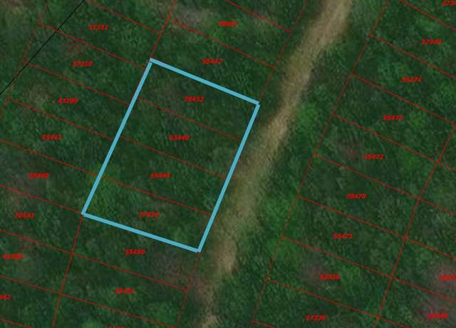 Property at Lots 538, 539, 540 & 541 Wood Frst, Livingston, TX 77351