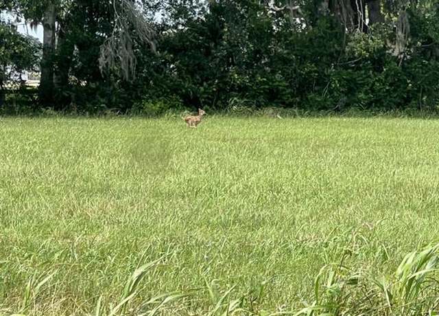 Property at 130 Pony Trail Trl, Angleton, TX 77515
