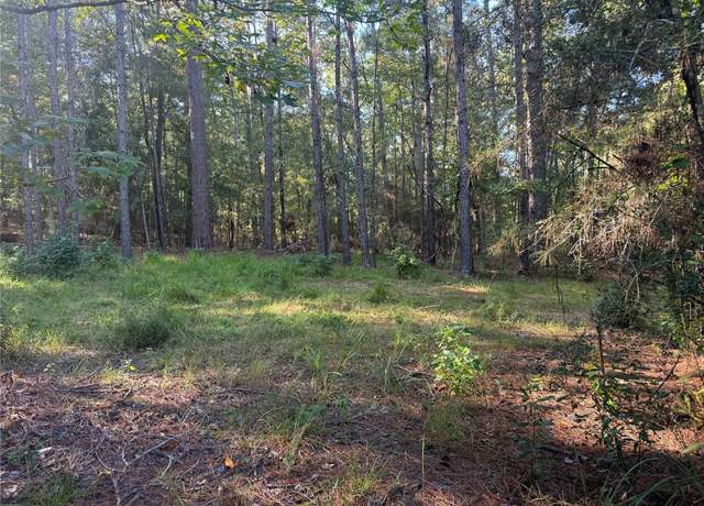 Property at 019 Dagger Dr N, Brookeland, TX 75931