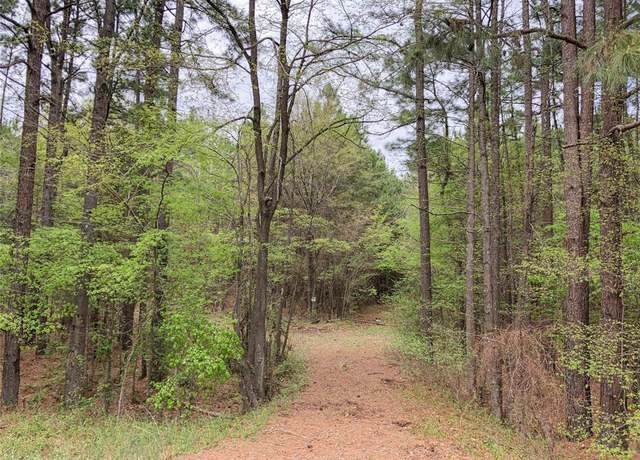 Property at 0 Hwy 67, Redwater, TX 75567