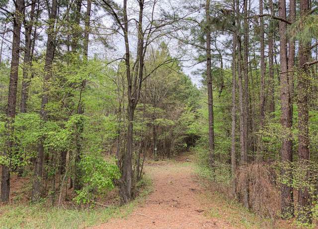 Property at 0 Hwy 67, Redwater, TX 75567
