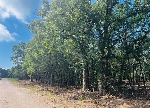 Property at TBD Big Creek Forest Dr, Somerville, TX 77879