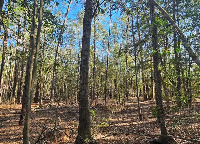 Property at 0000 Joe Allen Ext, Kountze, TX 77625
