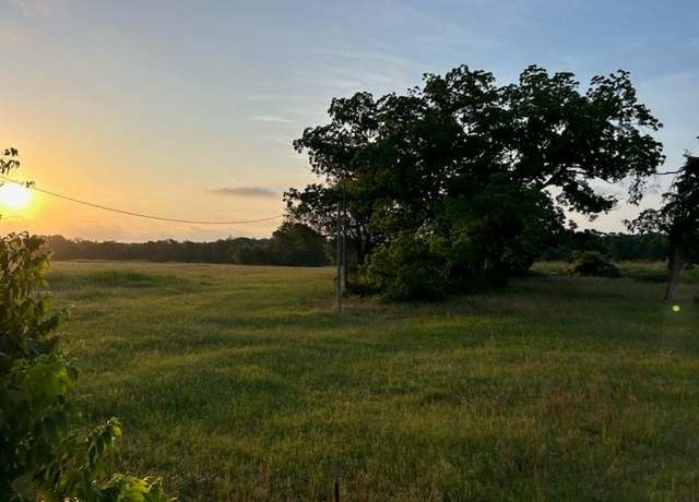 Property at 4436 Fm 2346, Madisonville, TX 77864
