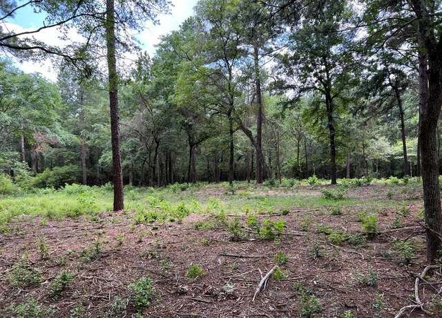 Property at 0025 County Road 302, Plantersville, TX 77363