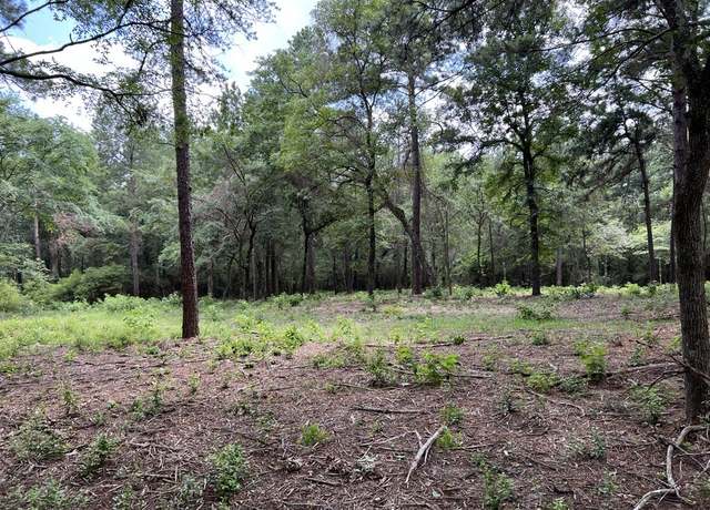 Property at 0025 County Road 302, Plantersville, TX 77363