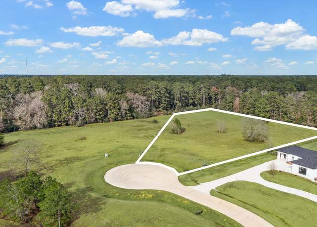 Property at 2508 Harper Cliff Ct, Hockley, TX 77447