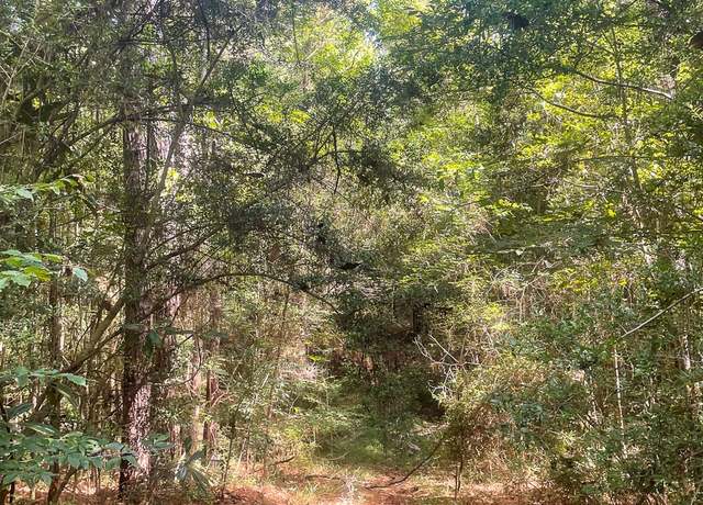 Property at 0 Fm 1414, Burkeville, TX 75932