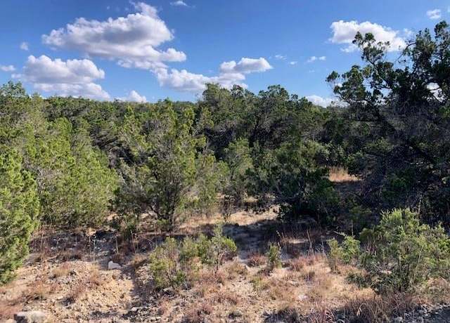 Property at 300 Onion Creek Ln, Blanco, TX 78606