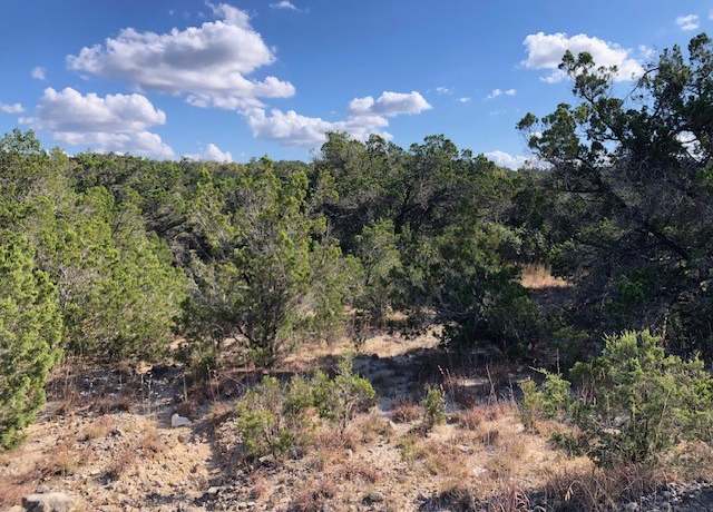 Property at 300 Onion Creek Ln, Blanco, TX 78606