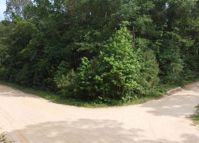 Property at TBD Blue Quail Dr, Coldspring, TX 77331