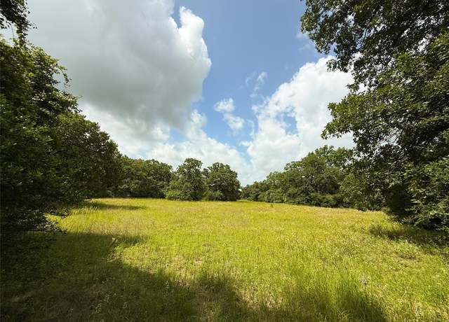 Property at TBD Tract 9 County Road 261, Oakwood, TX 75855