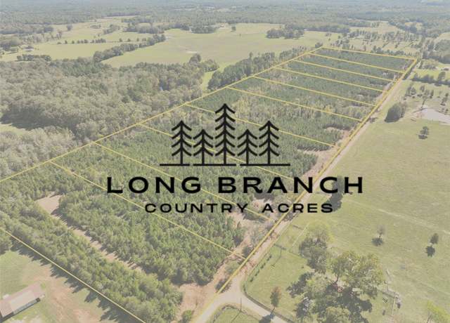 Property at 04 Cr 3121, Long Branch, TX 75669