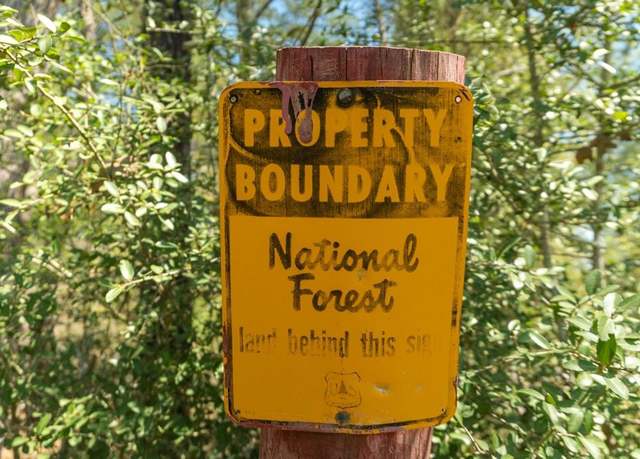 Property at TBD E Forest Service Rd 527, Kennard, TX 75847